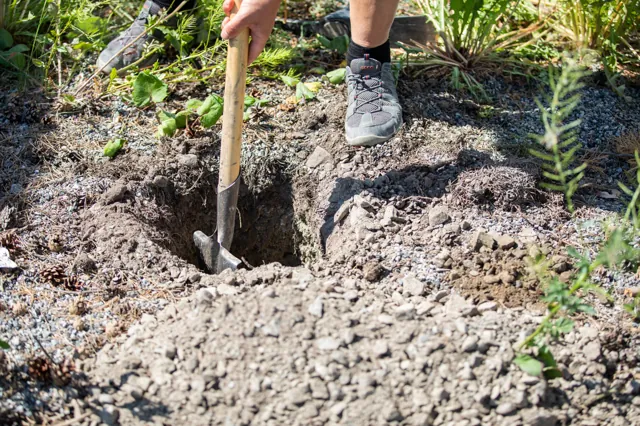 Et hull graves med spade som del av feltarbeidet.